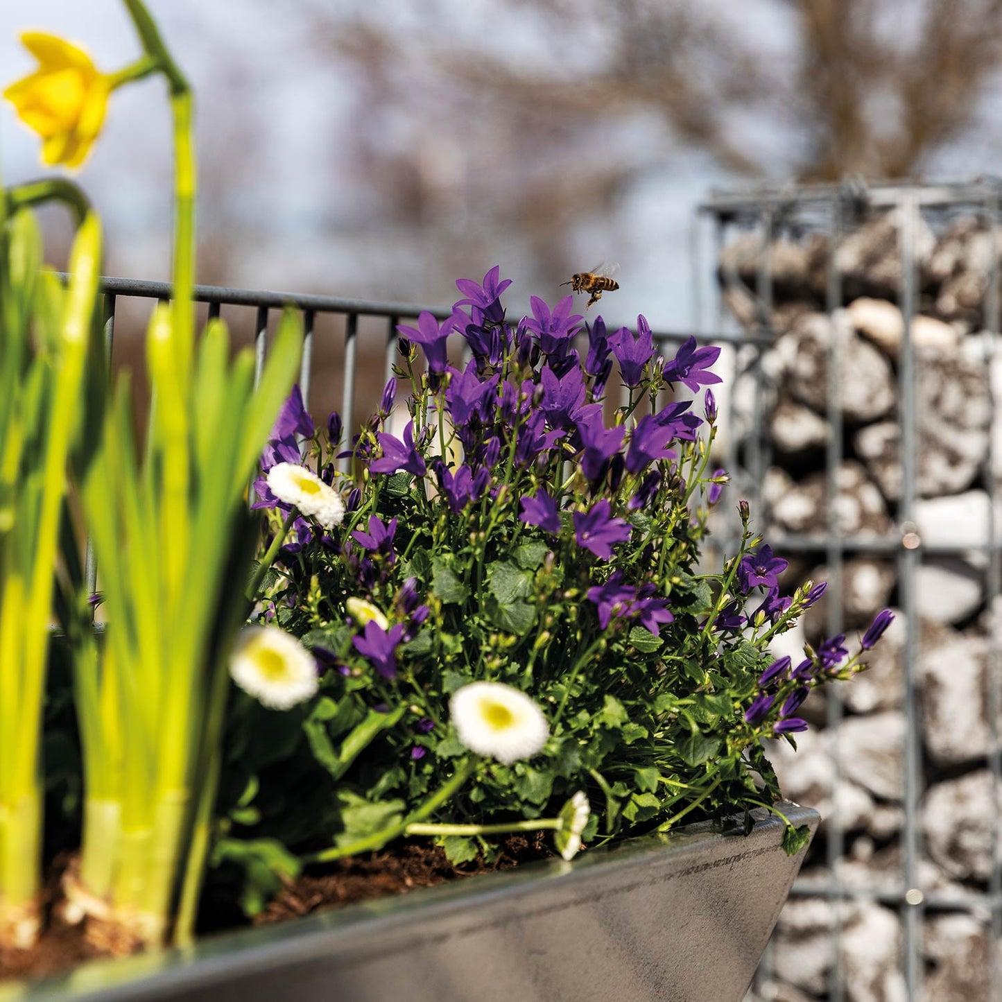 bellissa Origami Pflanzkasten