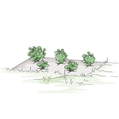 bellissa Mulch- & Unkrautvlies, L200 x B100 x H0,5 cm, 100% Schafwolle - ID: 68712541716854