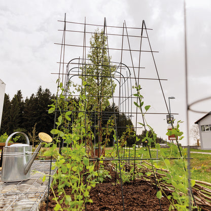 bellissa Rankgitter Verbinder Andybell 45° (6er Set); L 11 x B 1 x H 11 cm, Pulver besch., 1.5 mm verz.