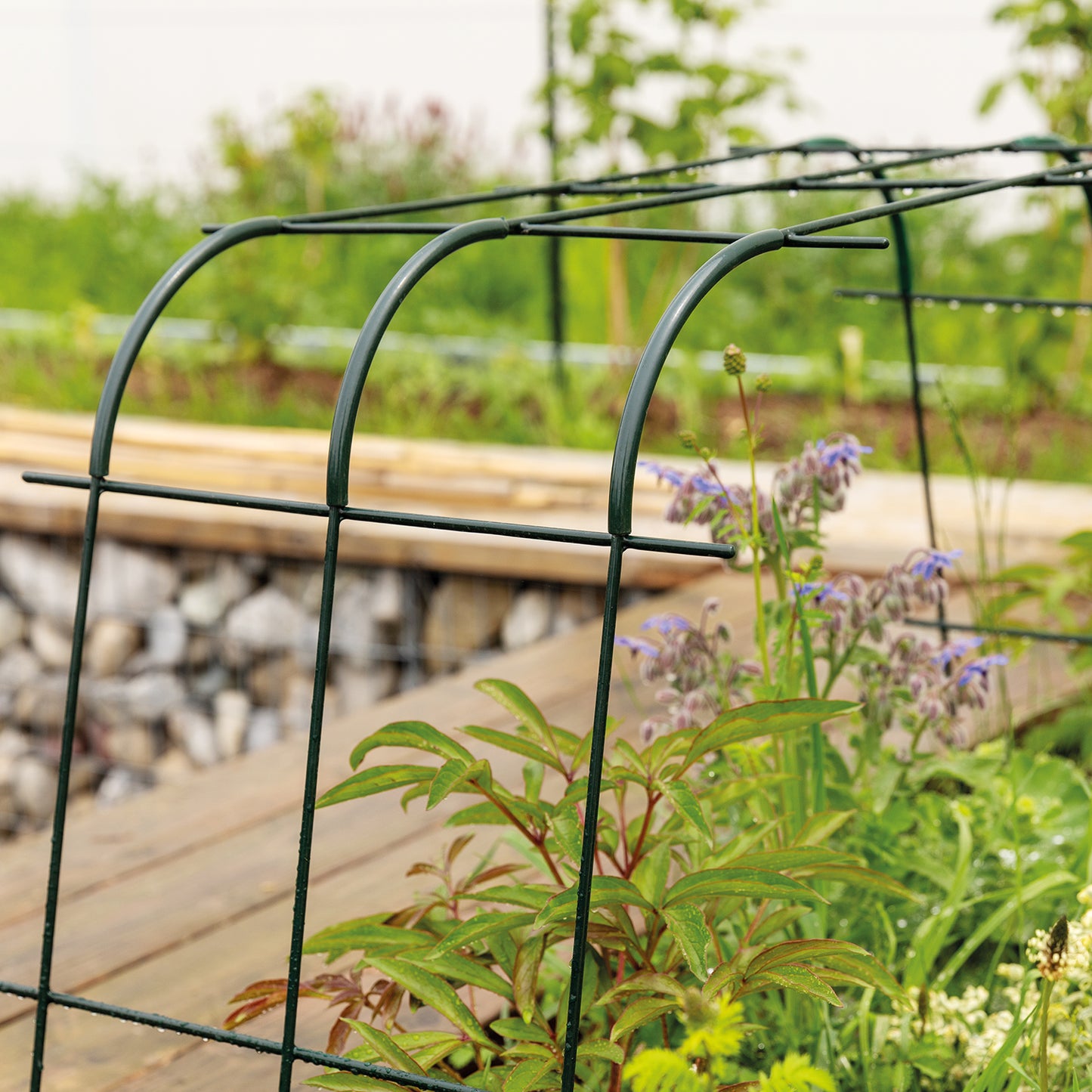 bellissa Rankgitter Verbinder Andybell 90° (6er Set); L 13 x B 1 x H 13 cm, Pulver besch., 1.5 mm verz.