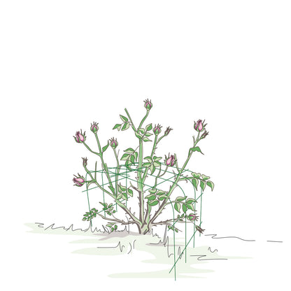 bellissa Annabelle Hortensienstütze 65, bellissa grün