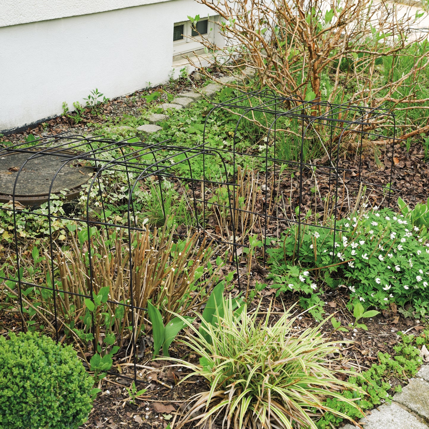 bellissa Annabelle Hortensienstütze 75 (2er Set) - 75 cm x 72 cm x 80 xm