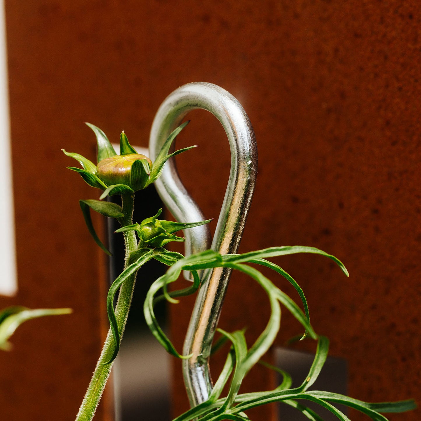 bellissa Mainau Dahlien Stütze