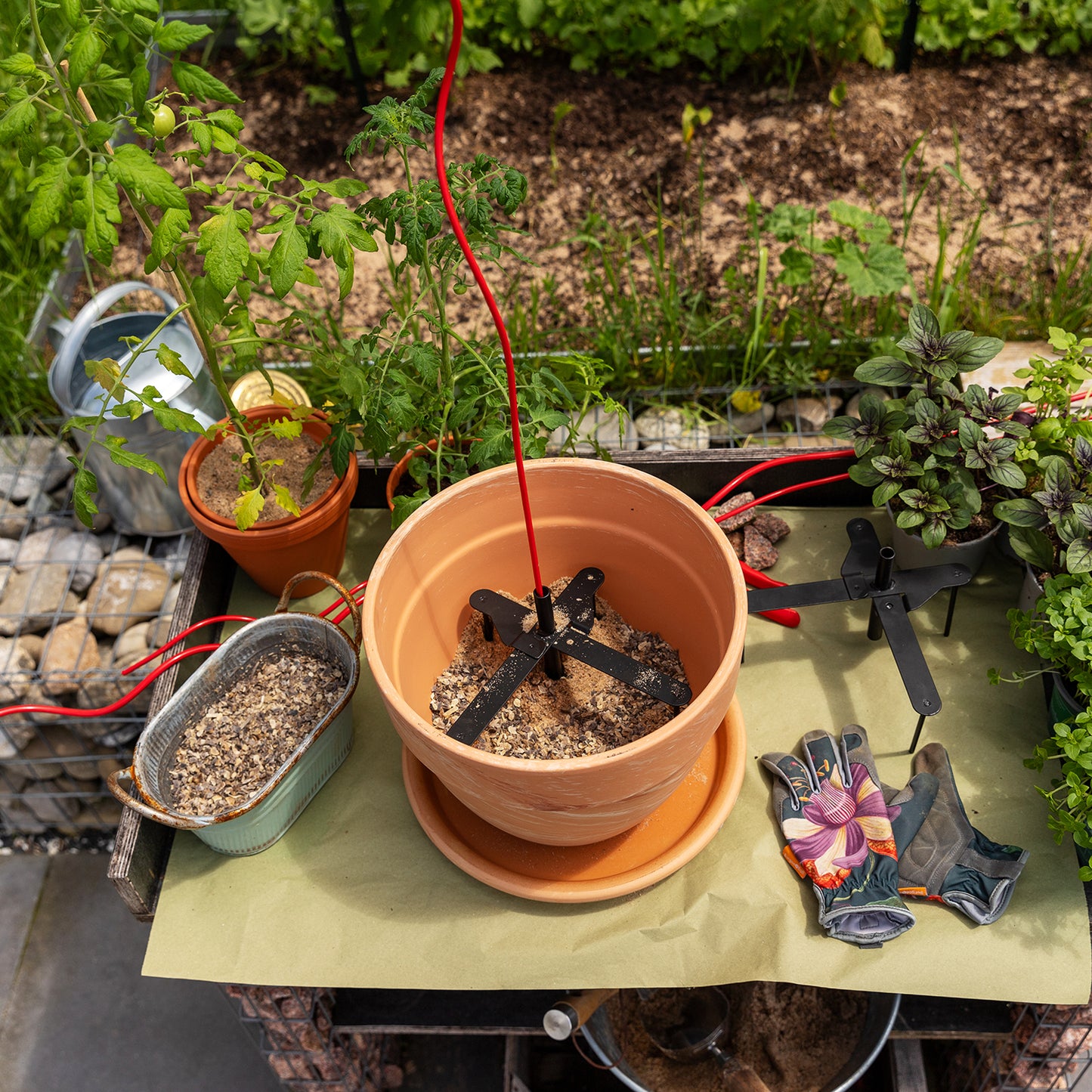 bellissa Pflanzstabhalter Schmetterling; L 23 x B 23 x H 13 cm, Topf Ø25 cm, 1,4 mm verz.