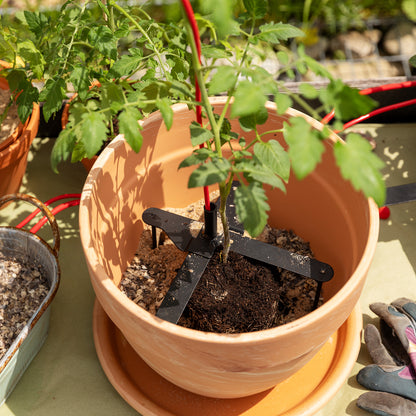 bellissa Pflanzstabhalter Schmetterling; L 23 x B 23 x H 13 cm, Topf Ø25 cm, 1,4 mm verz.