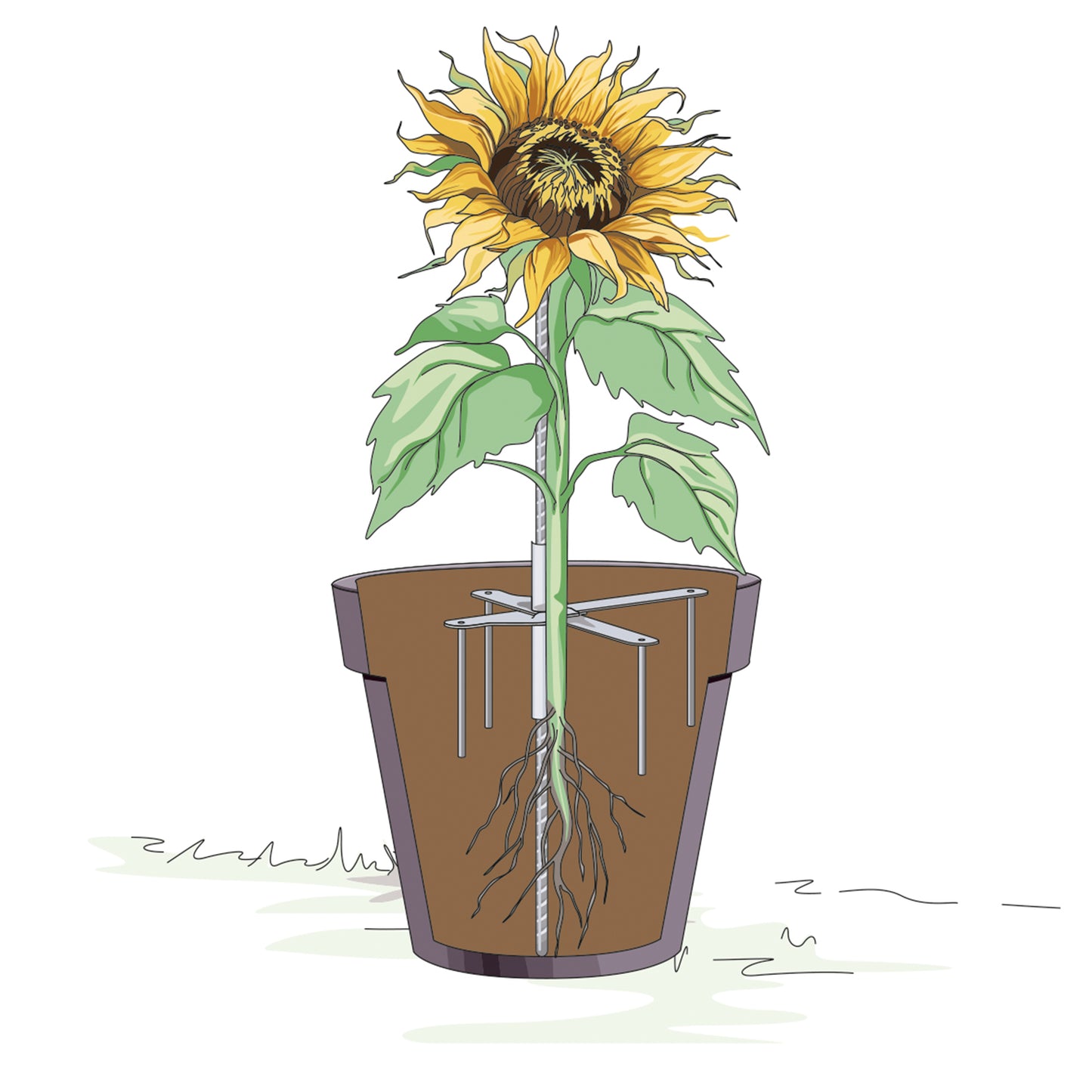 bellissa Pflanzstabhalter Schmetterling; L 23 x B 23 x H 13 cm, Topf Ø25 cm, 1,4 mm verz.