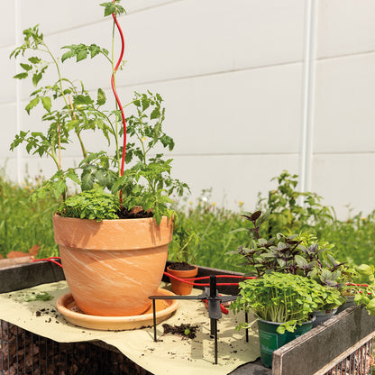 bellissa Pflanzstabhalter Schmetterling; L 23 x B 23 x H 13 cm, Topf Ø25 cm, 1,4 mm verz.