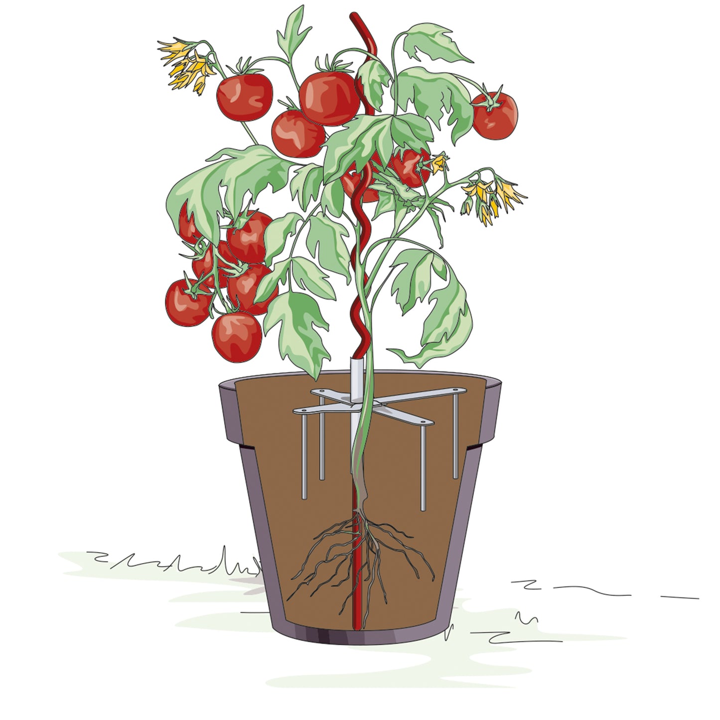 bellissa Pflanzstabhalter Schmetterling; L 23 x B 23 x H 13 cm, Topf Ø25 cm, 1,4 mm verz.