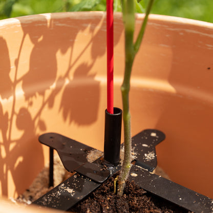 bellissa Pflanzstabhalter Schmetterling; L 23 x B 23 x H 13 cm, Topf Ø25 cm, 1,4 mm verz.