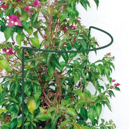 GartenAZ Busch- und Strauchstütze (LxBxH) 14 cm x 40 cm x 70 cm