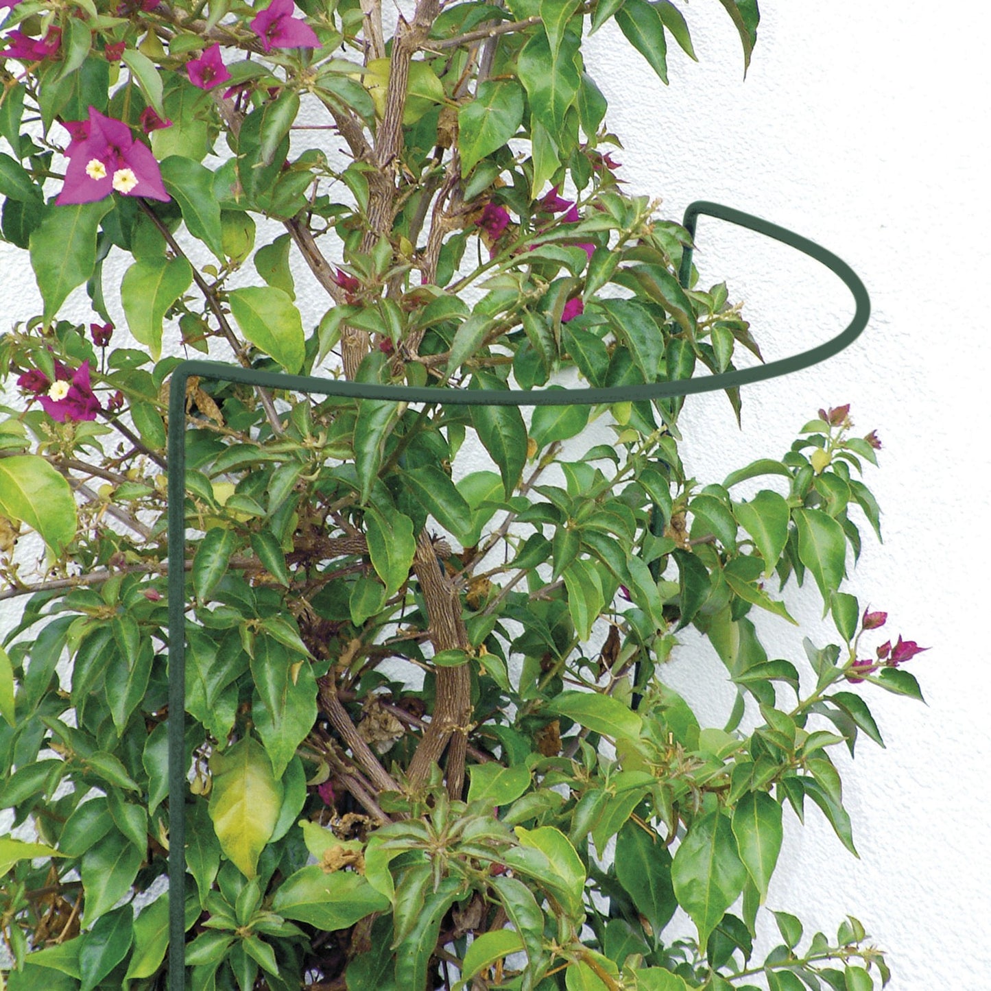 GartenAZ Busch- und Strauchstütze (LxBxH) 14 cm x 40 cm x 100 cm - ID: 70408941732214