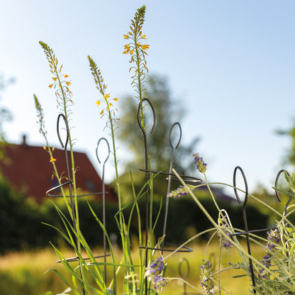 bellissa Kleinspalier CONO 58x19 cm