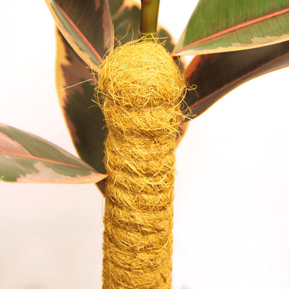 bellissa Kokosstab 110 Ø 45mm