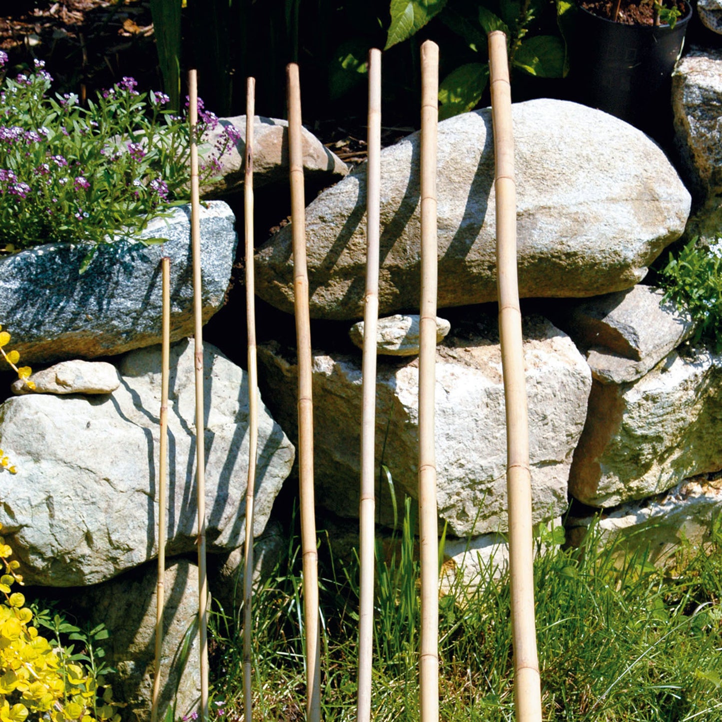 bellissa Bambusstäbe