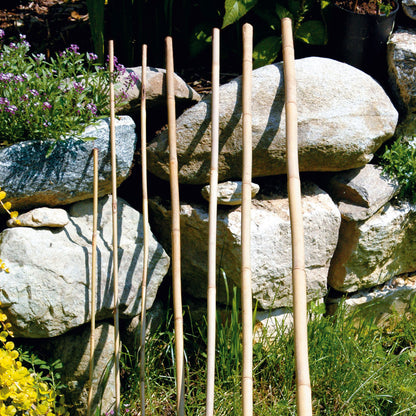bellissa Bambusstäbe