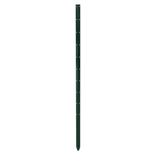 bellissa Pflanzstab Timo 100 G
