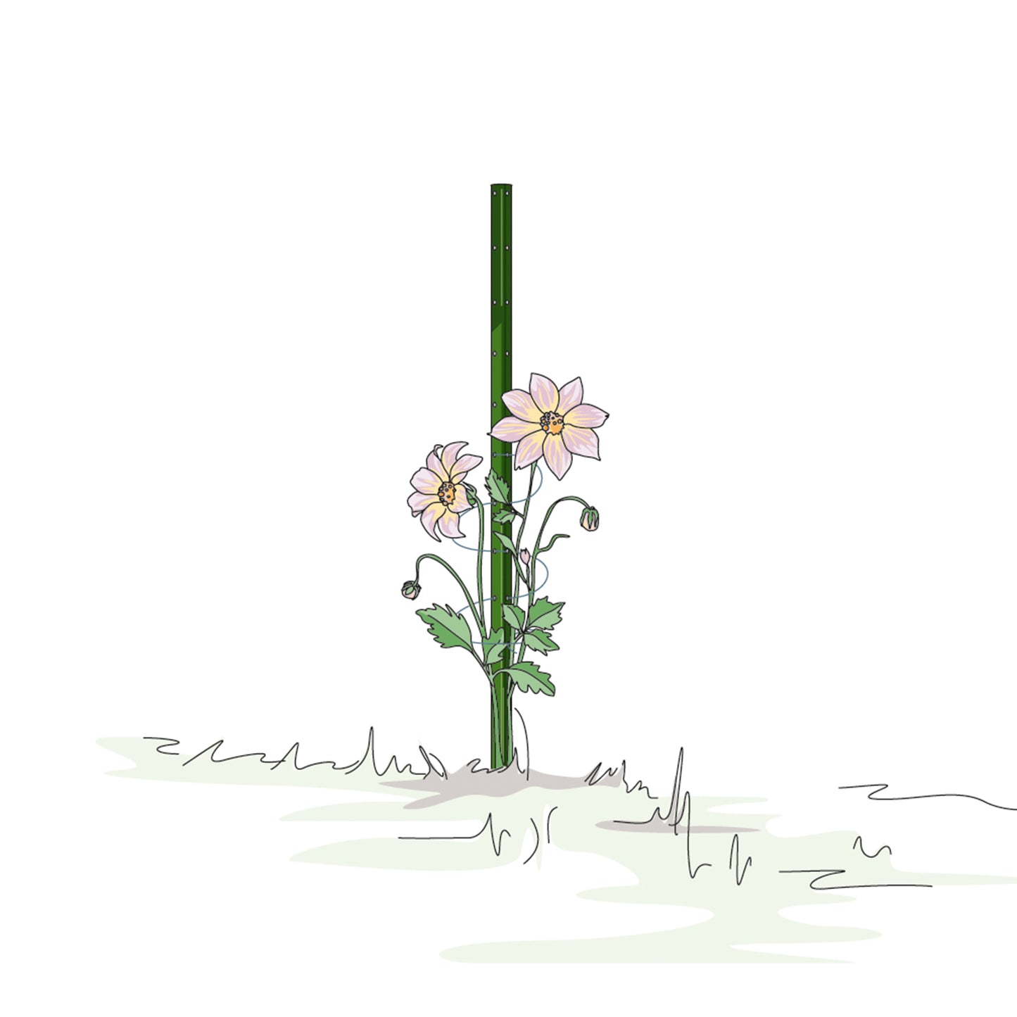 bellissa Pflanzstab Timo 100 G; L 3 x B 3 x H 100 cm, Pulver besch., 1.5 mm verz.