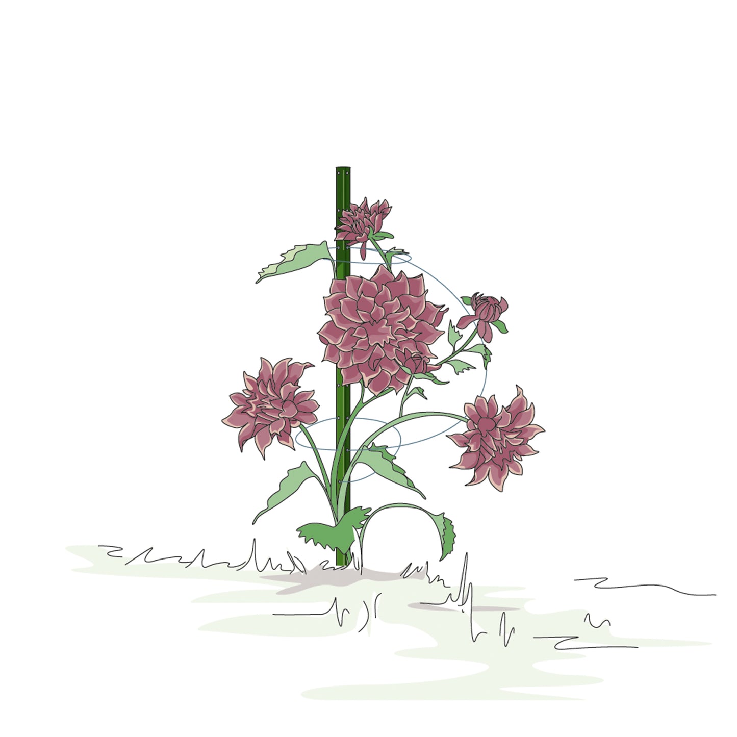 bellissa Pflanzstab Timo 100 G; L 3 x B 3 x H 100 cm, Pulver besch., 1.5 mm verz.