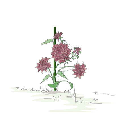 bellissa Pflanzstab Timo 100 G; L 3 x B 3 x H 100 cm, Pulver besch., 1.5 mm verz.