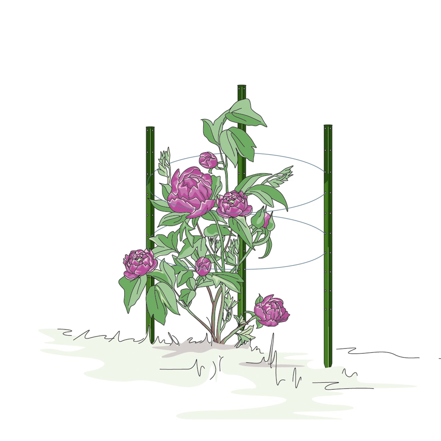 bellissa Pflanzstab Timo 100 G; L 3 x B 3 x H 100 cm, Pulver besch., 1.5 mm verz.