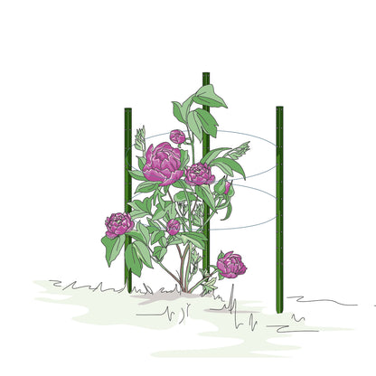 bellissa Pflanzstab Timo 100 G; L 3 x B 3 x H 100 cm, Pulver besch., 1.5 mm verz.