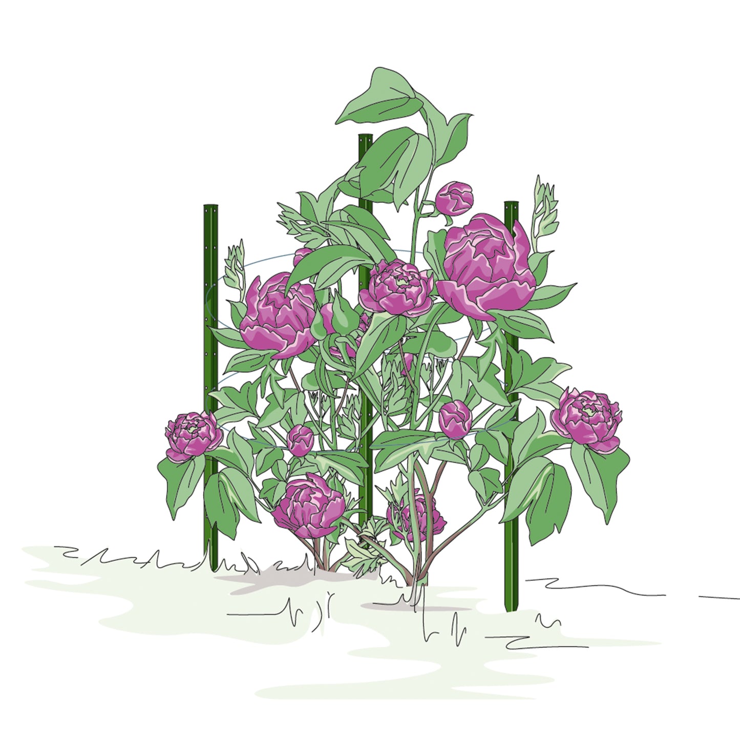 bellissa Pflanzstab Timo 100 G; L 3 x B 3 x H 100 cm, Pulver besch., 1.5 mm verz.