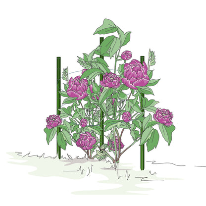 bellissa Pflanzstab Timo 100 G; L 3 x B 3 x H 100 cm, Pulver besch., 1.5 mm verz.