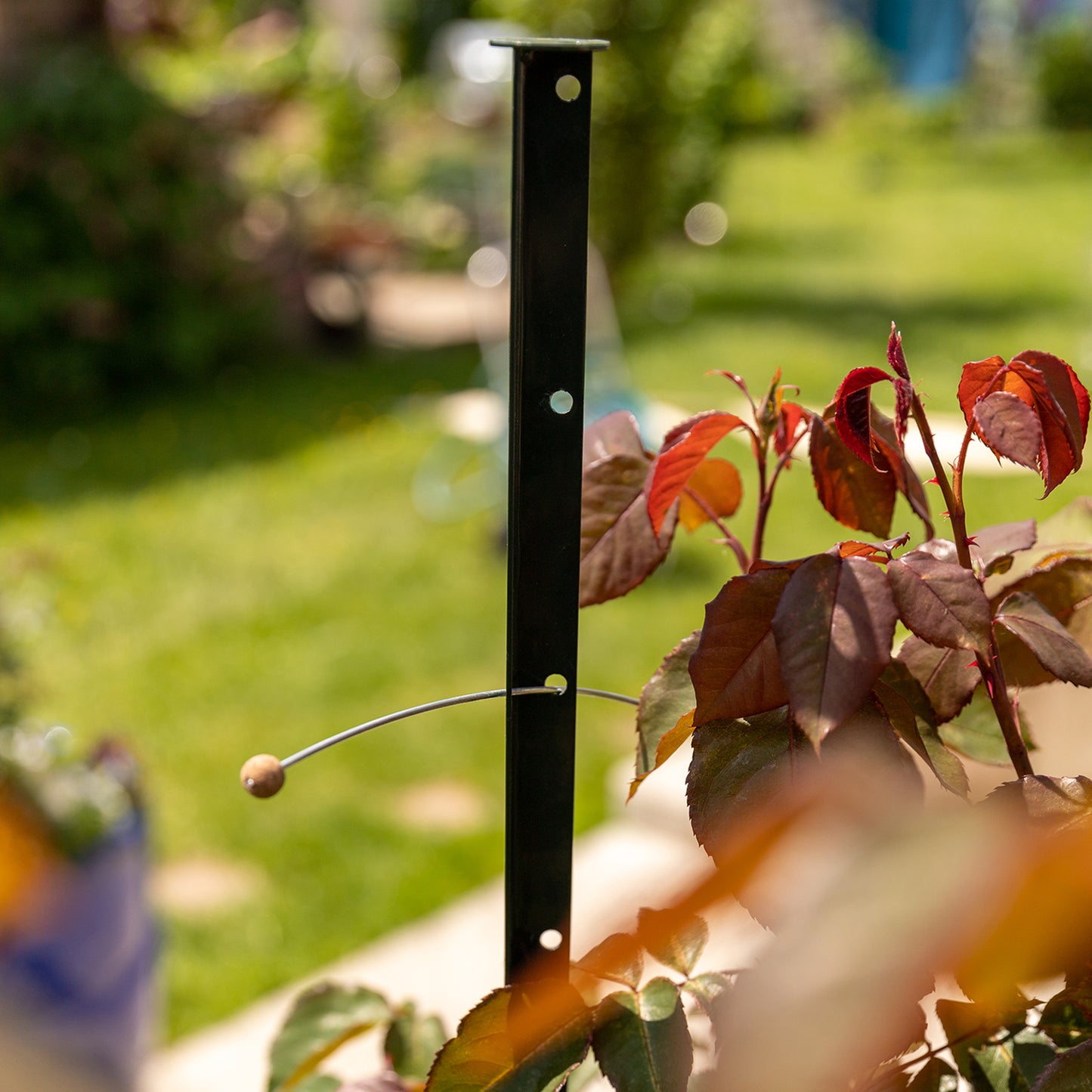 bellissa Pflanzstab Timo 100 G; L 3 x B 3 x H 100 cm, Pulver besch., 1.5 mm verz.