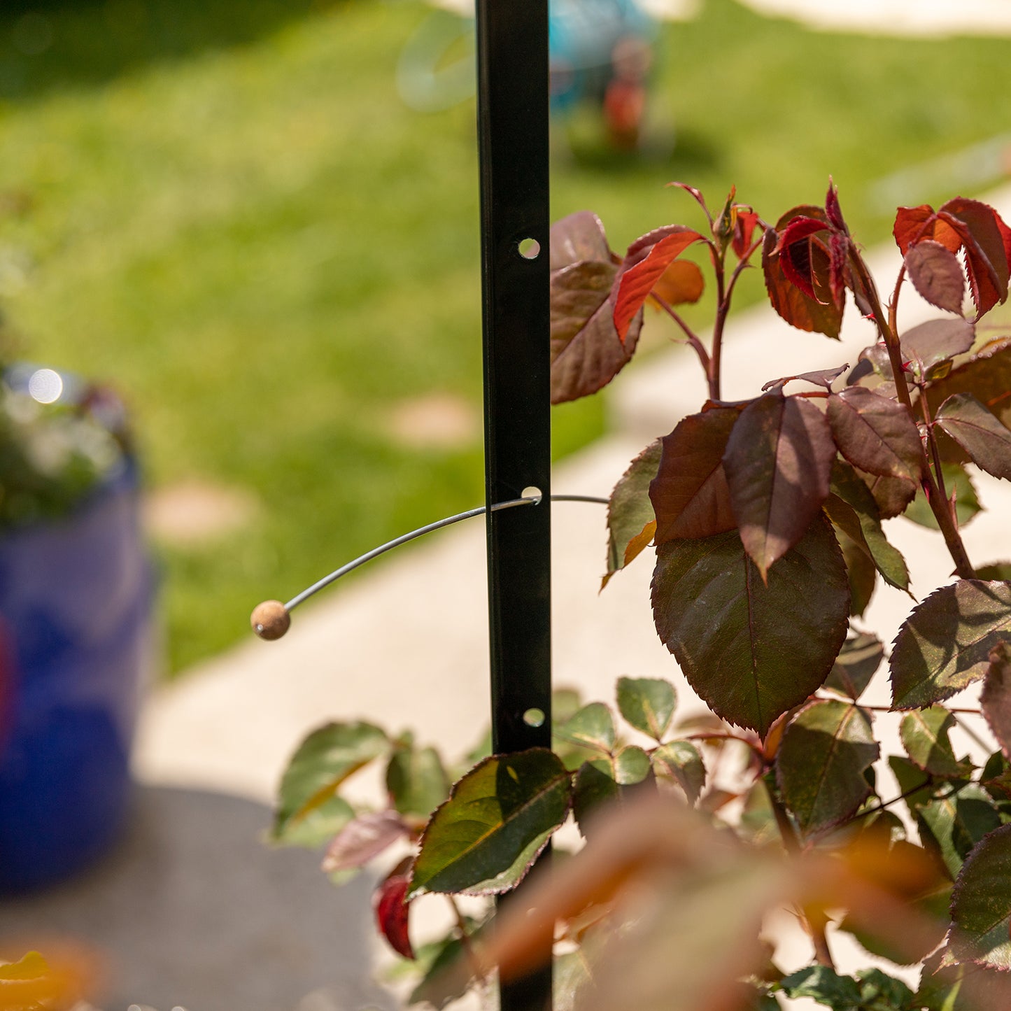 bellissa Pflanzstab Timo 100 G; L 3 x B 3 x H 100 cm, Pulver besch., 1.5 mm verz.