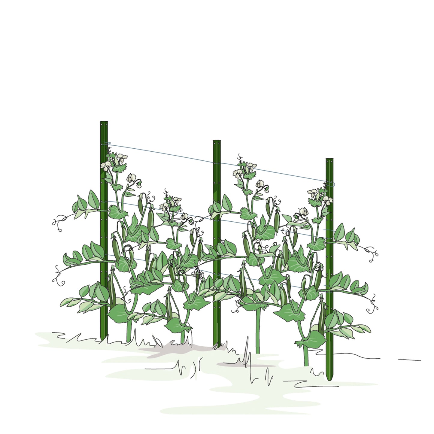 bellissa Pflanzstab Timo 100 G; L 3 x B 3 x H 100 cm, Pulver besch., 1.5 mm verz. - ID: 68332845203830