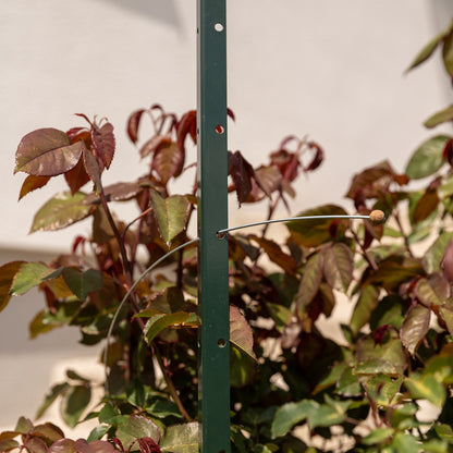bellissa Pflanzstab Timo 100 G; L 3 x B 3 x H 100 cm, Pulver besch., 1.5 mm verz. - ID: 70409222521206