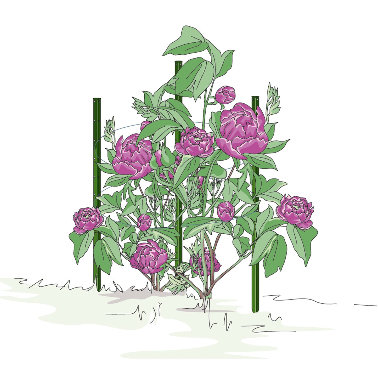 bellissa Pflanzstab Timo 150 G; L 3 x B 3 x H 150 cm, Pulver besch., 1.5 mm verz.