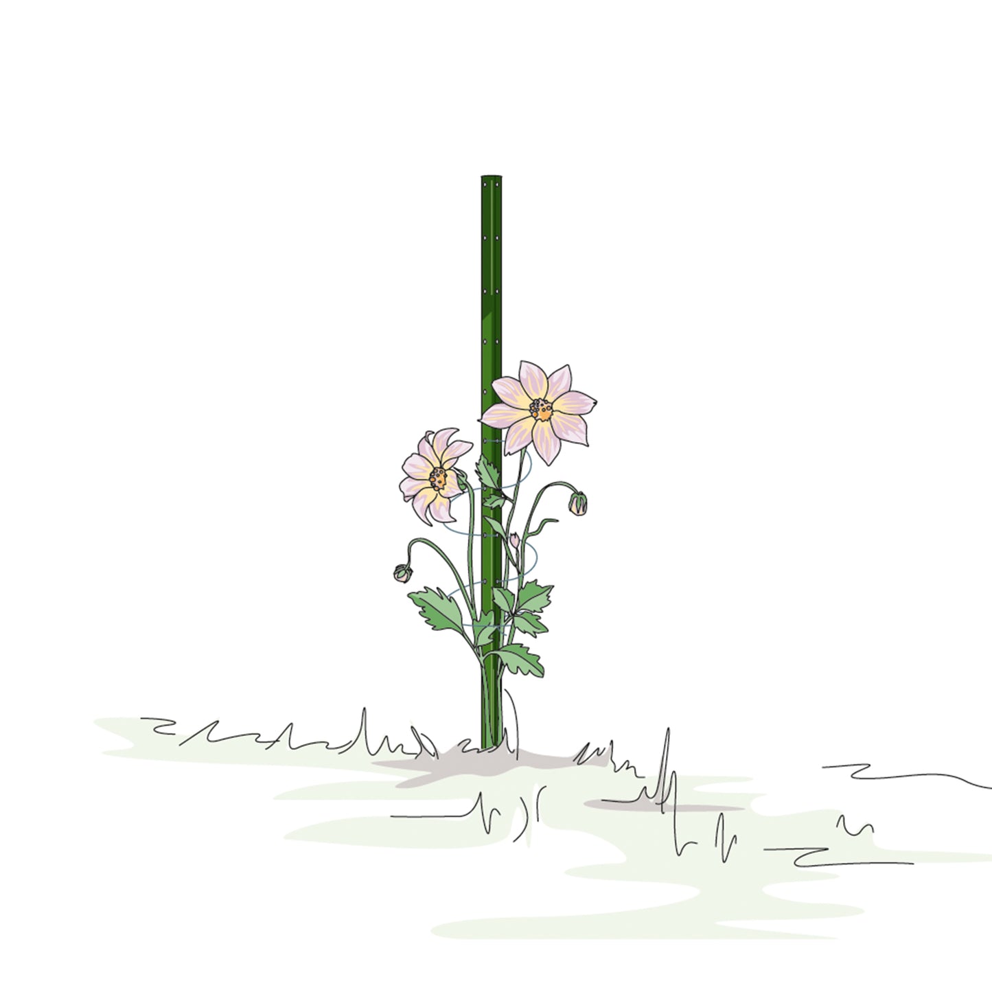 bellissa Pflanzstab Timo 150 G; L 3 x B 3 x H 150 cm, Pulver besch., 1.5 mm verz.