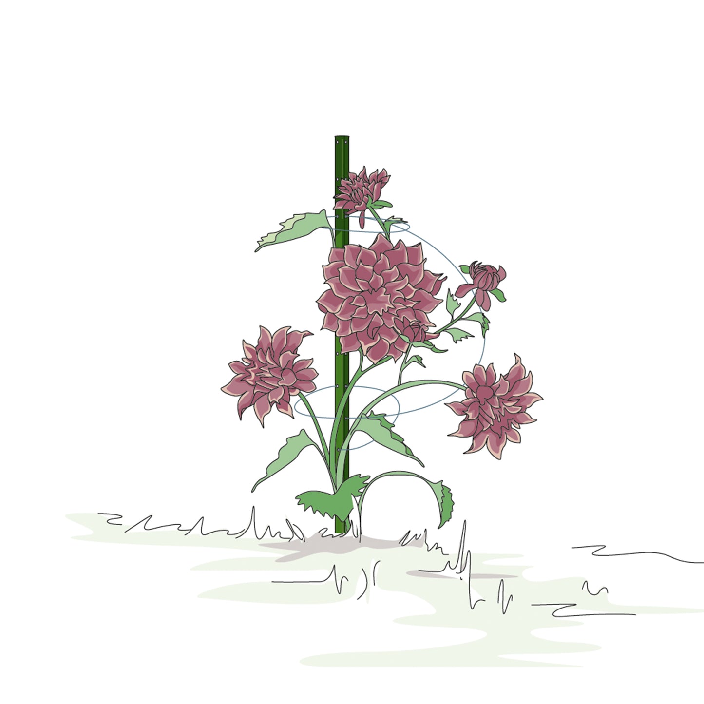 bellissa Pflanzstab Timo 150 G; L 3 x B 3 x H 150 cm, Pulver besch., 1.5 mm verz.