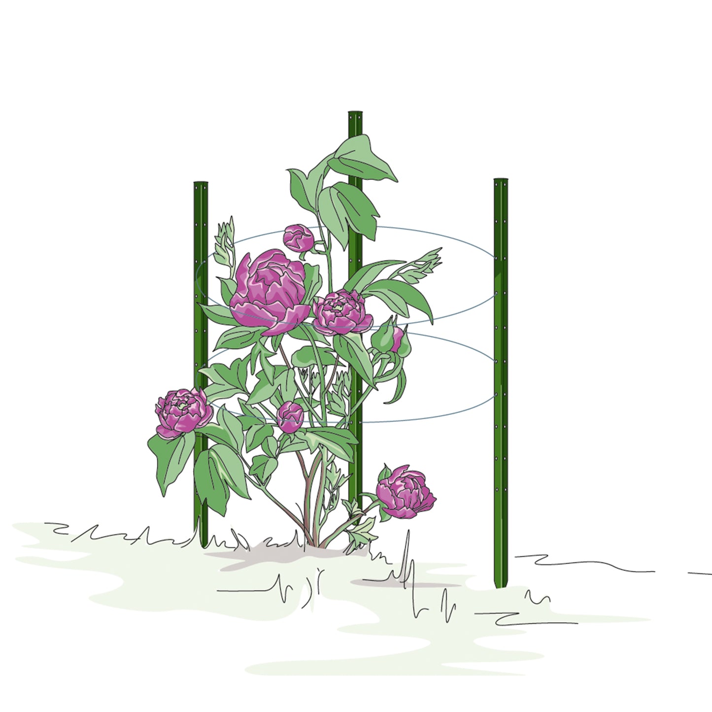 bellissa Pflanzstab Timo 150 G; L 3 x B 3 x H 150 cm, Pulver besch., 1.5 mm verz.