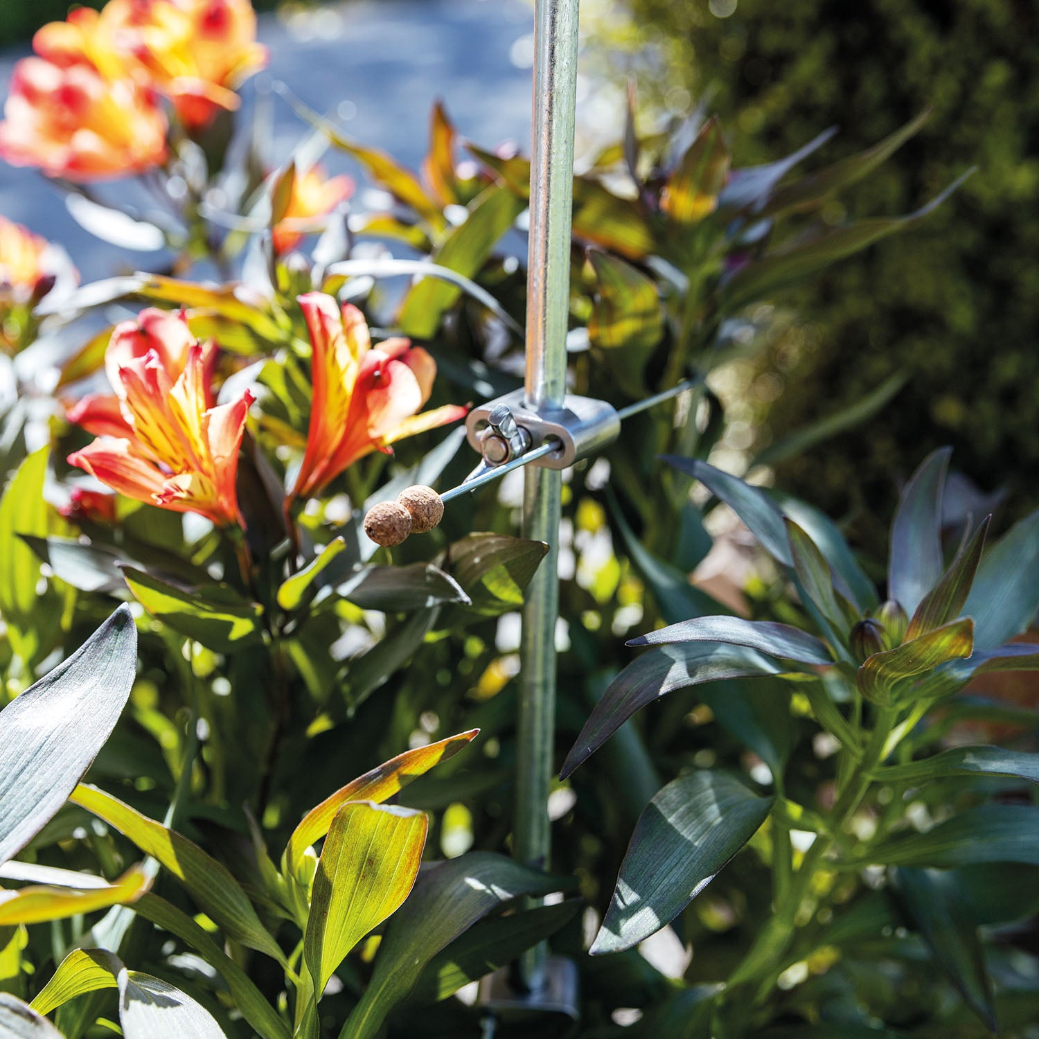 bellissa Pflanzstab Premium 130 verzinkt – Rasenkante 24