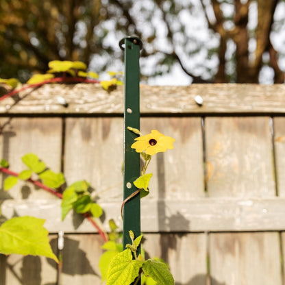 bellissa Pflanzstab Timo 180 G; L 3 x B 3 x H 180 cm, Pulver besch., 1.5 mm verz. - ID: 70655327666550