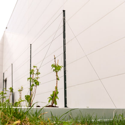 bellissa Pflanzstab Timo 180 G; L 3 x B 3 x H 180 cm, Pulver besch., 1.5 mm verz.