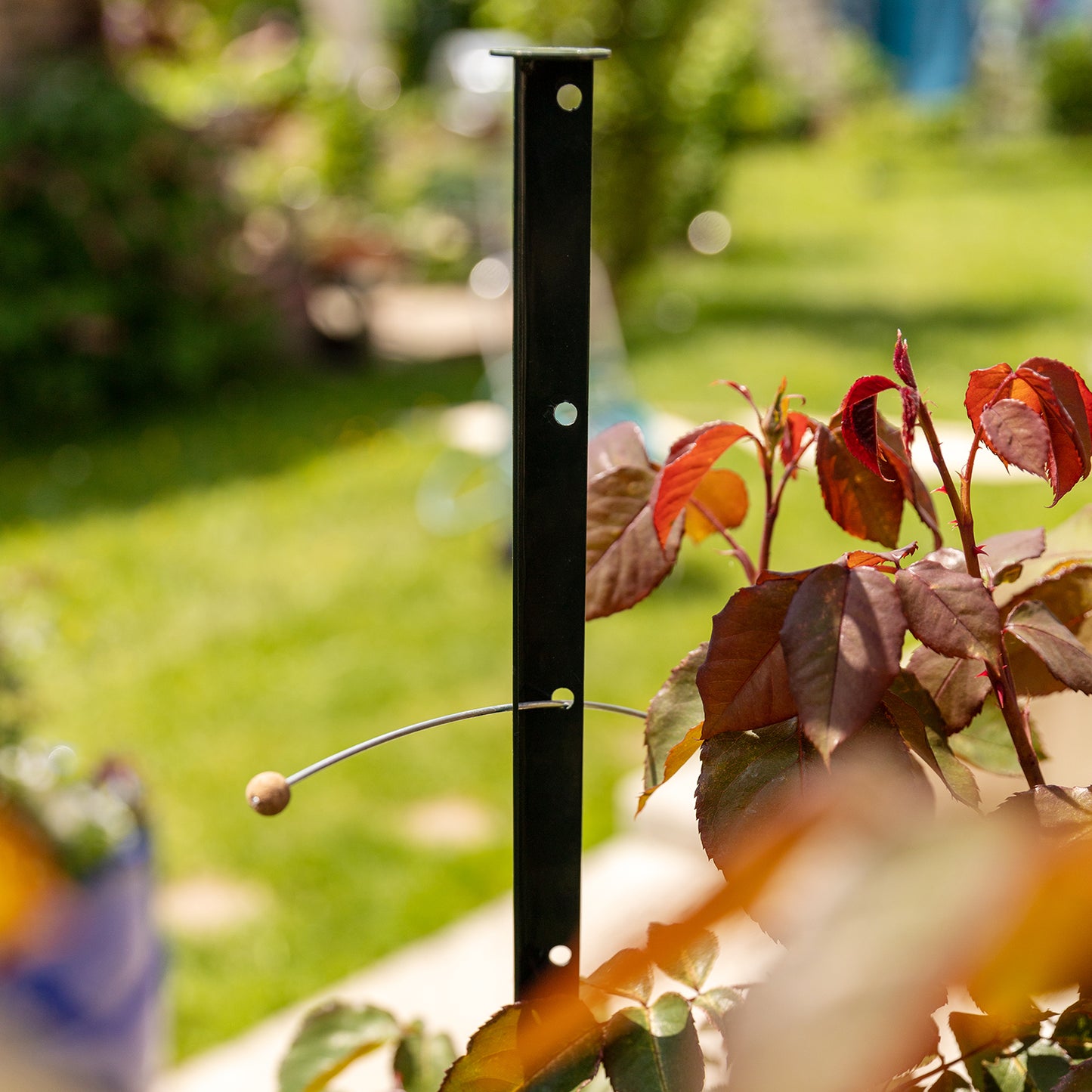 bellissa Pflanzstab Timo 180 G; L 3 x B 3 x H 180 cm, Pulver besch., 1.5 mm verz.