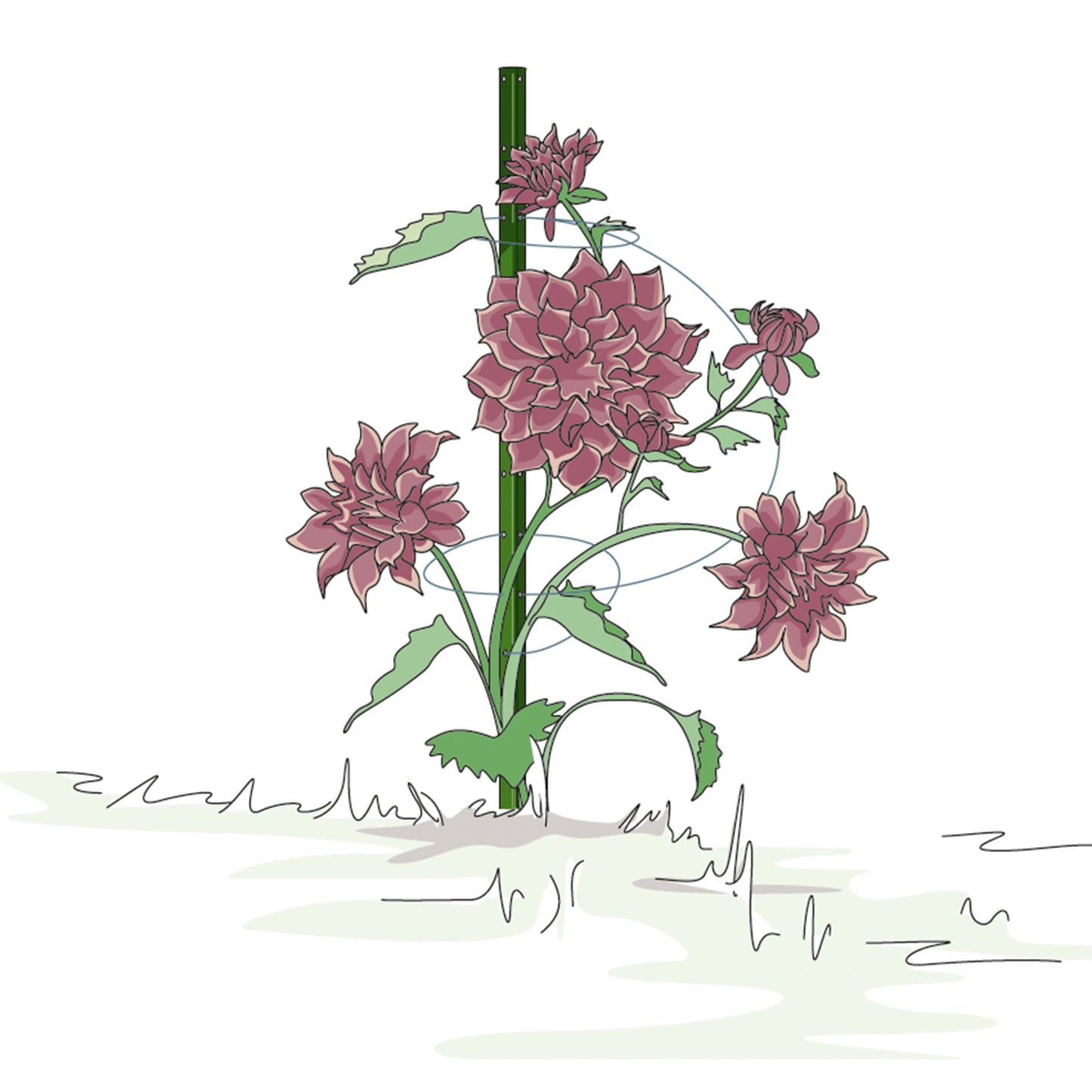 bellissa Pflanzstab Timo 180 G; L 3 x B 3 x H 180 cm, Pulver besch., 1.5 mm verz.