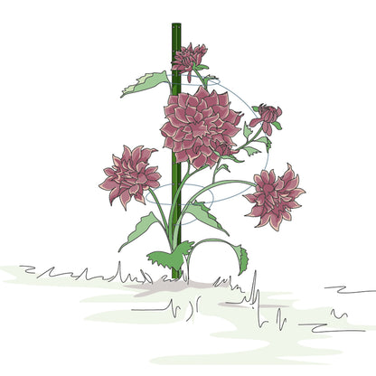 bellissa Pflanzstab Timo 180 G; L 3 x B 3 x H 180 cm, Pulver besch., 1.5 mm verz.