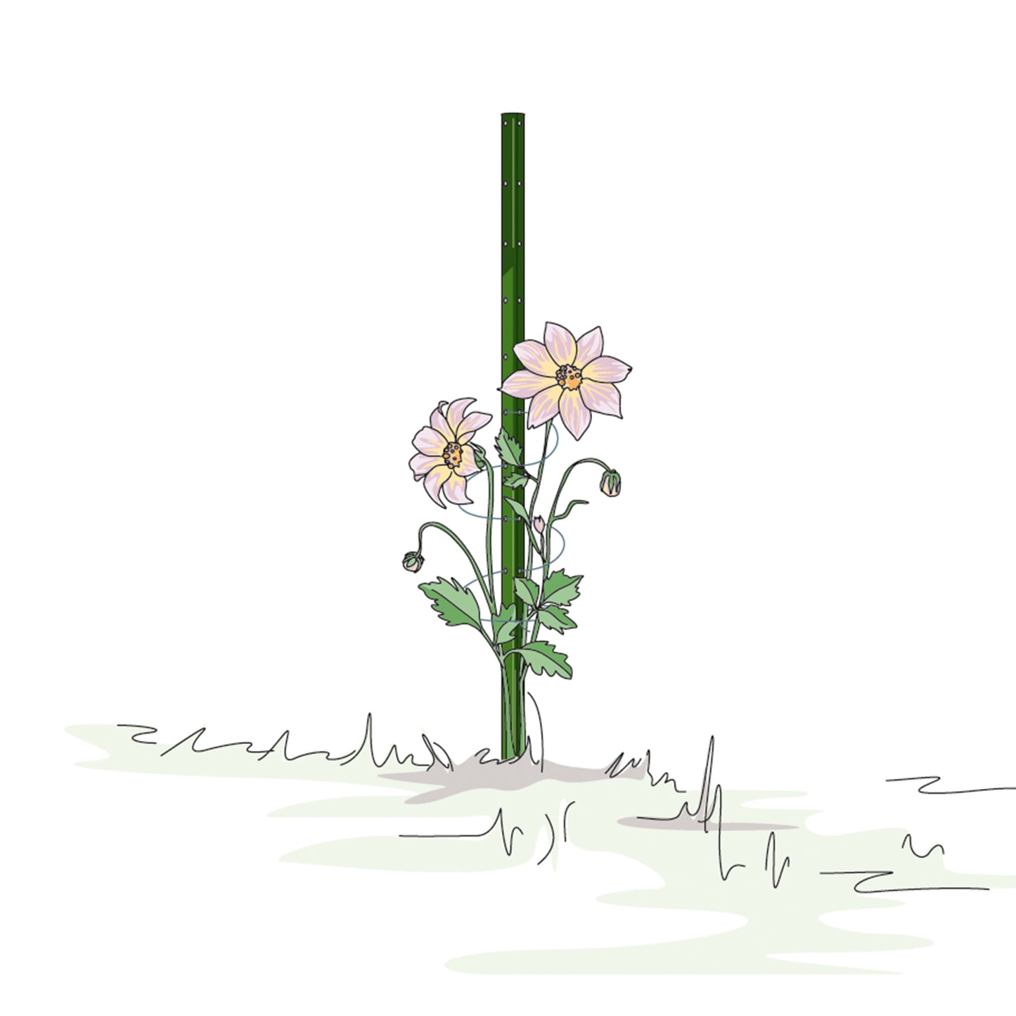 bellissa Pflanzstab Timo 180 G; L 3 x B 3 x H 180 cm, Pulver besch., 1.5 mm verz.