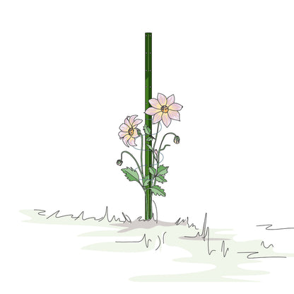 bellissa Pflanzstab Timo 180 G; L 3 x B 3 x H 180 cm, Pulver besch., 1.5 mm verz.