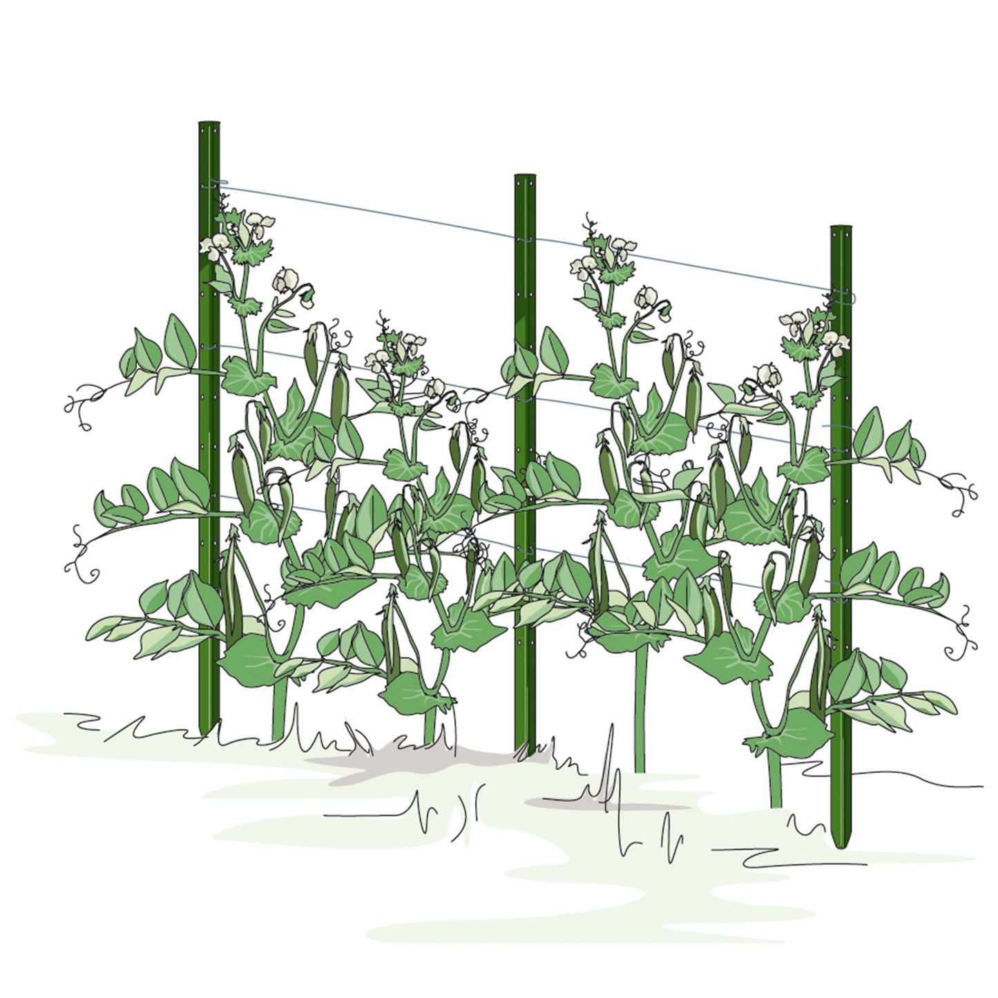 bellissa Pflanzstab Timo 180 G; L 3 x B 3 x H 180 cm, Pulver besch., 1.5 mm verz.