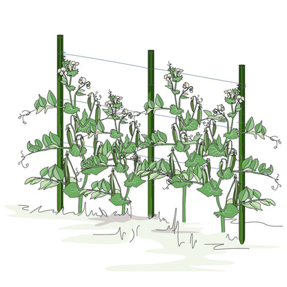 bellissa Pflanzstab Timo 180 G; L 3 x B 3 x H 180 cm, Pulver besch., 1.5 mm verz.