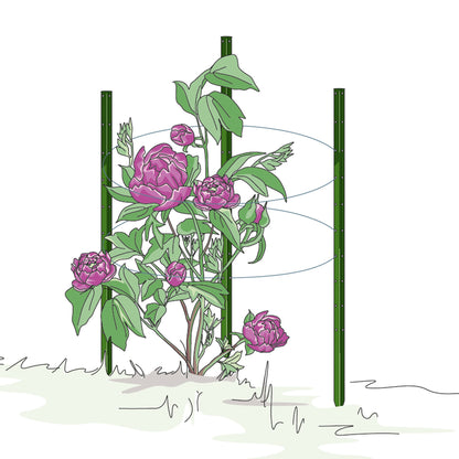 bellissa Pflanzstab Timo 180 G; L 3 x B 3 x H 180 cm, Pulver besch., 1.5 mm verz.