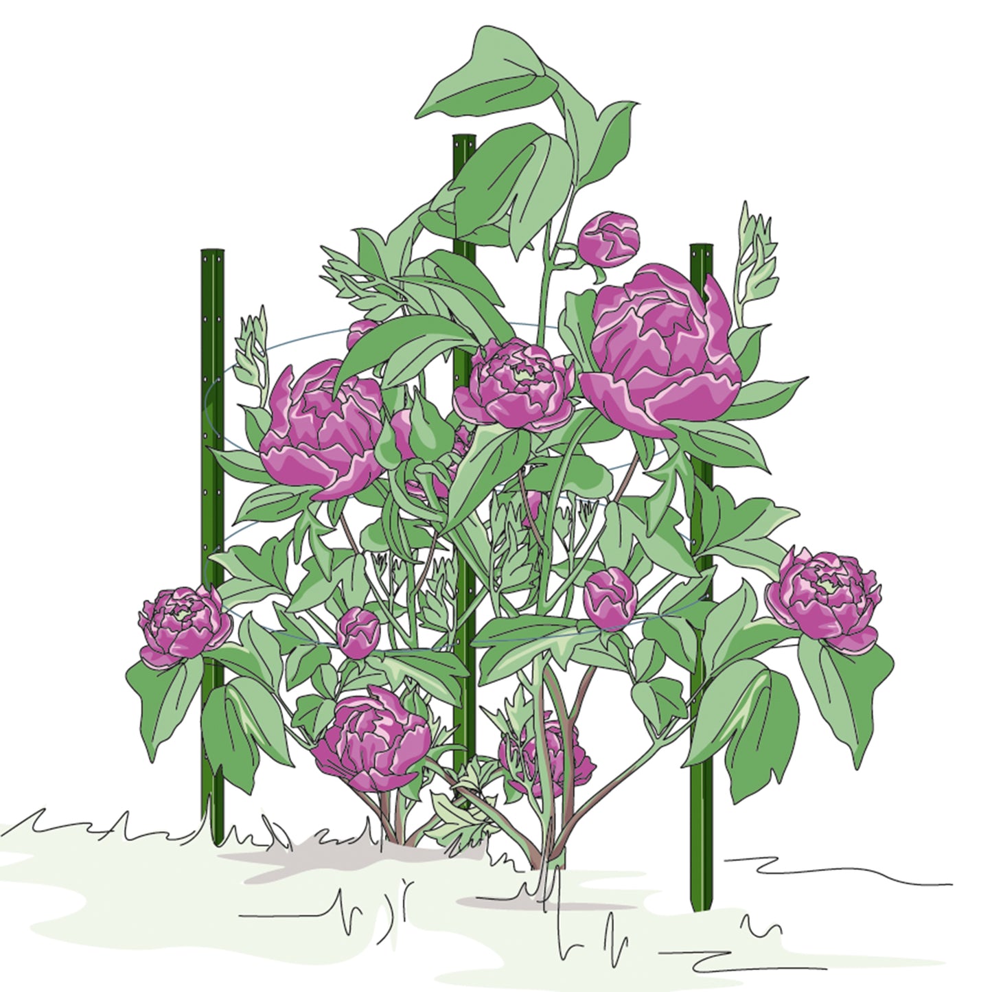 bellissa Pflanzstab Timo 180 G; L 3 x B 3 x H 180 cm, Pulver besch., 1.5 mm verz.