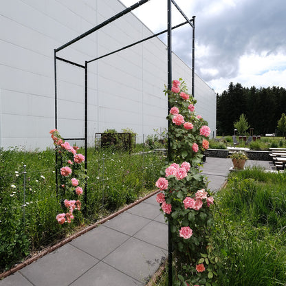 bellissa Torbogen TIMO:L80-150 cm x B42 x H180-230 cm, 1,5mm, verzinkter Stahl - ID: 70408958542198