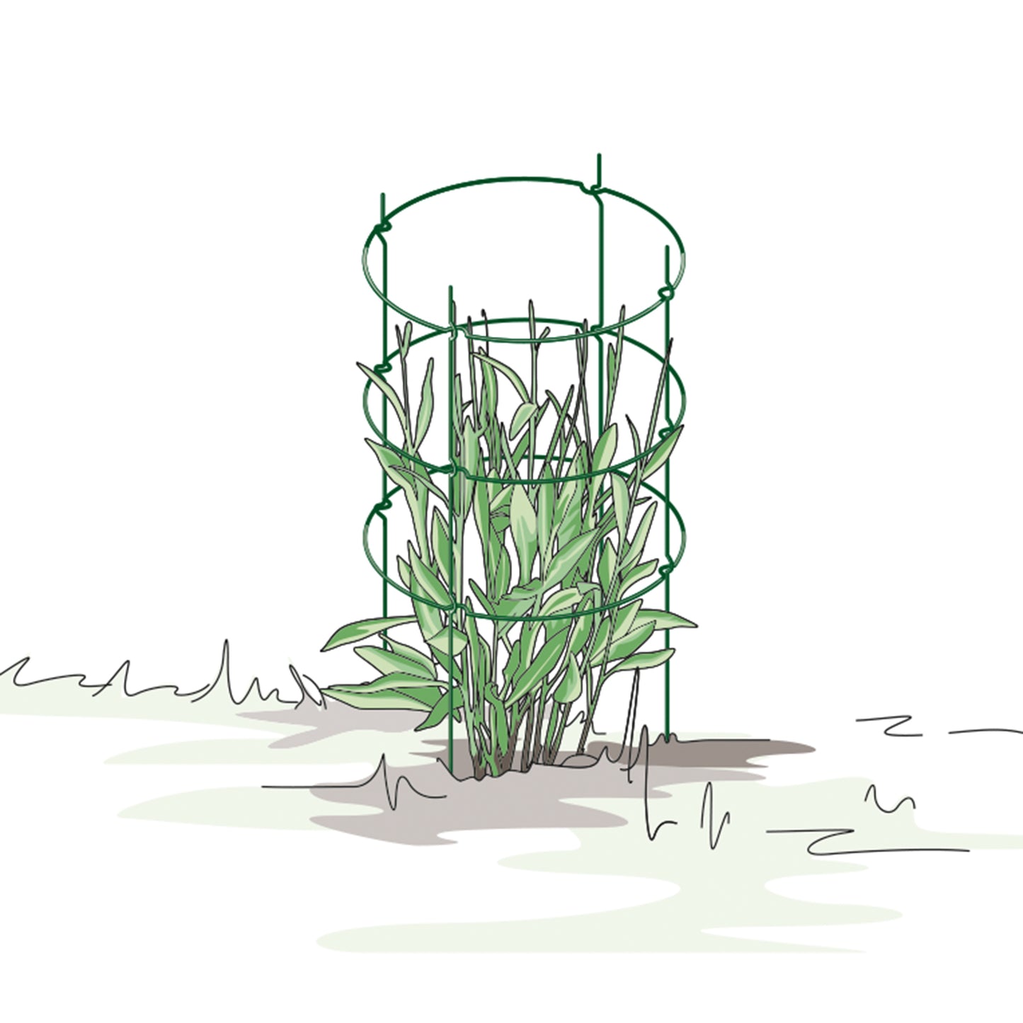 bellissa Staudenstütze FALTER:43,5 x B 43,5 x H 78 cm, grün