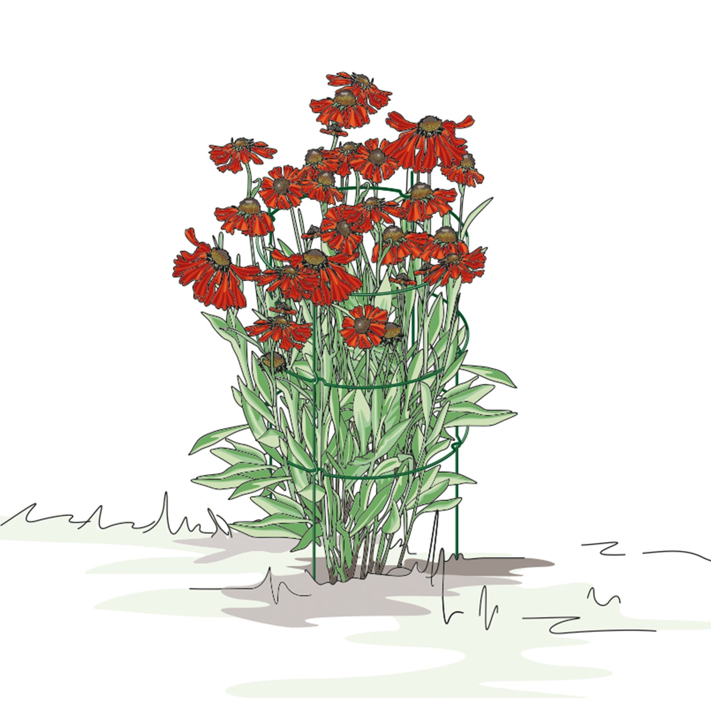 bellissa Staudenstütze FALTER:43,5 x B 43,5 x H 78 cm, grün